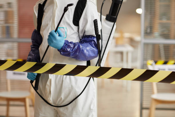 Professional Sewage Cleanup technician working in Ashland, OR